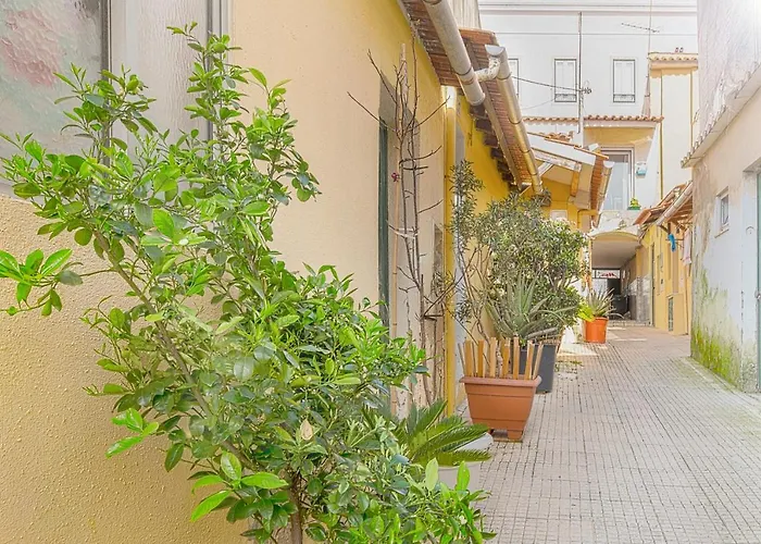 Cosy Duplex House In Downtown